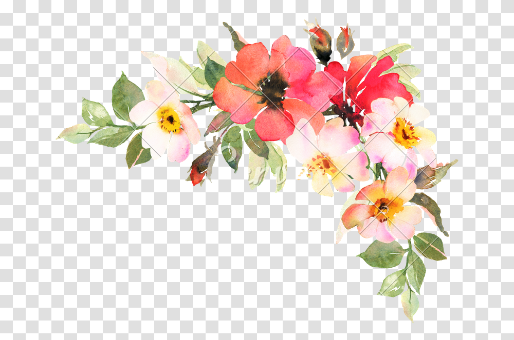 Bohemian Flower For Invitation, Plant, Floral Design, Pattern Transparent Png