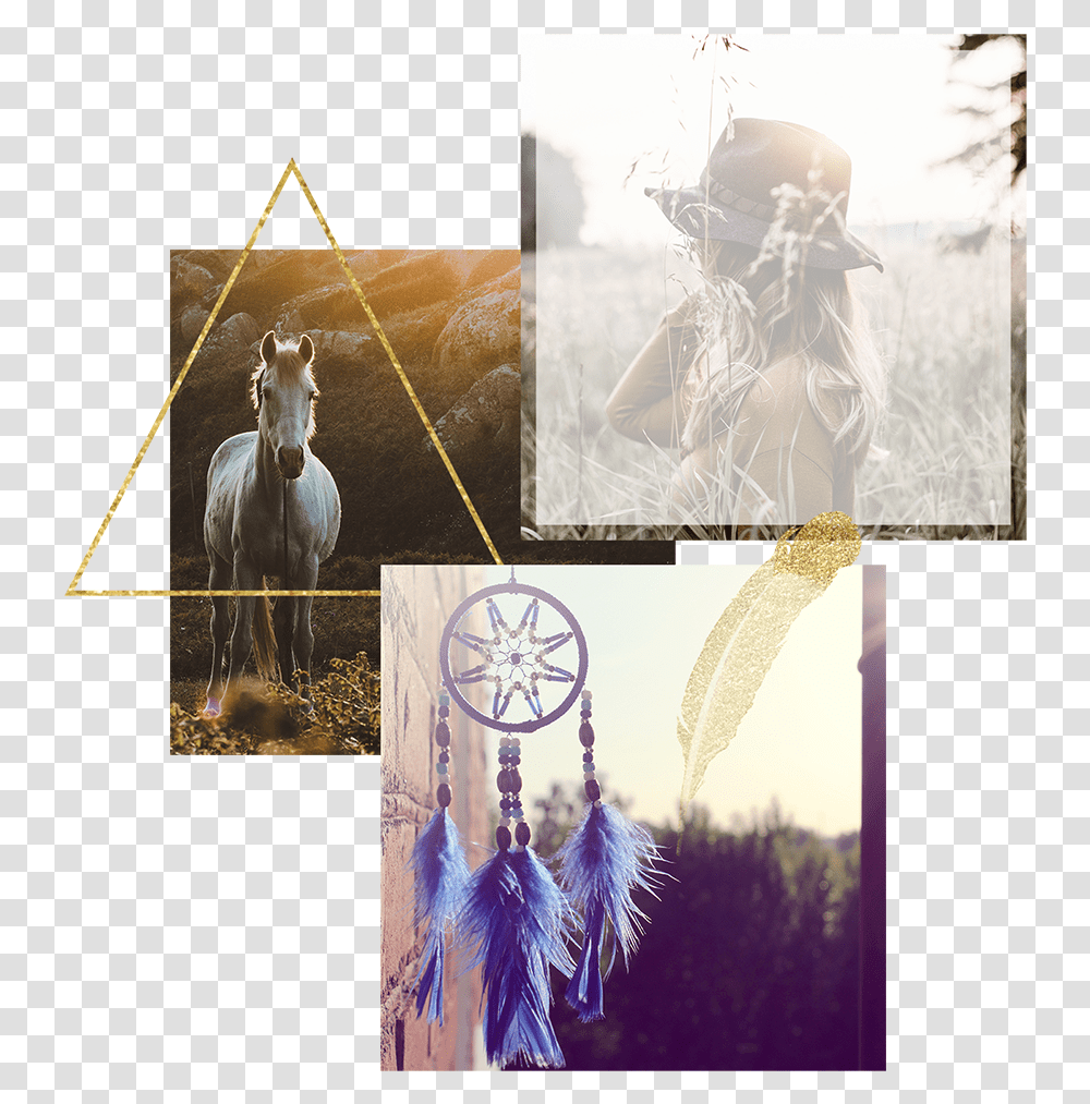Boho Feather Dream Catcher Background Hd, Apparel, Collage, Poster Transparent Png