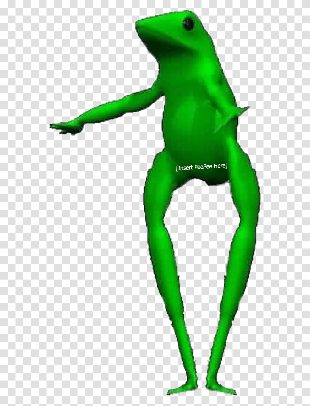 Boi Frog Frog Riding A Unicycle Gif, Green, Animal, Reptile, Amphibian Transparent Png