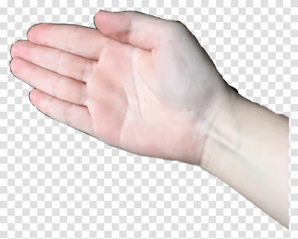 Boi Hand Meme, Wrist, Person, Finger, Skin Transparent Png