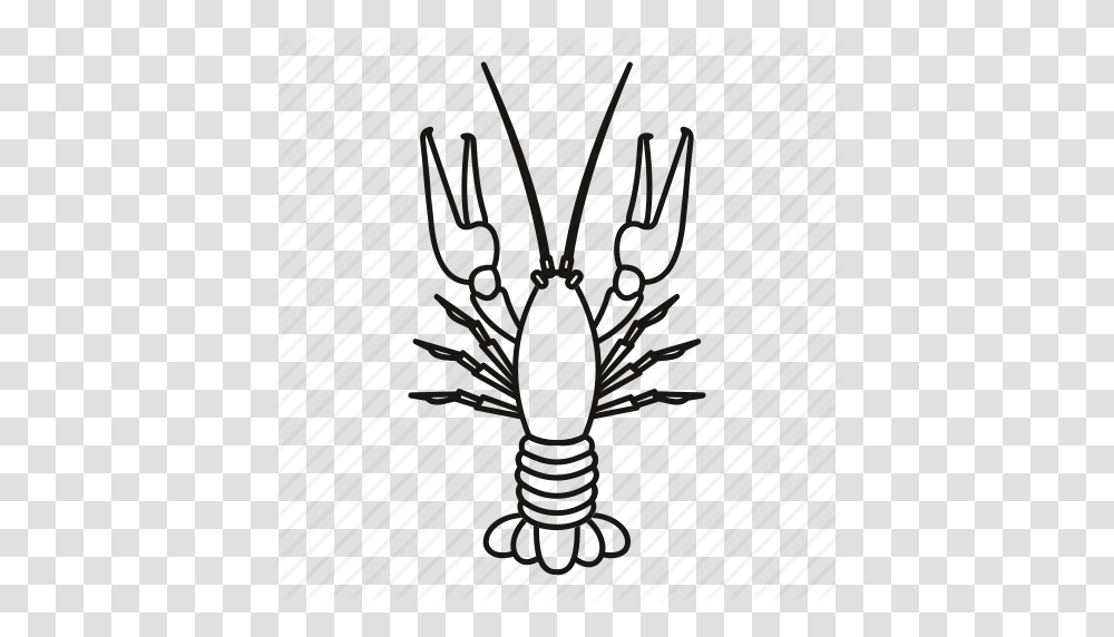Boiled Crawfish Fish Food Gourmet Line Outline Icon, Machine, Prison, Gray Transparent Png
