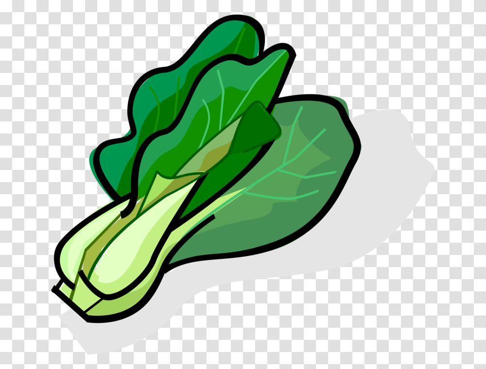 Bok Choy Cabbage, Plant, Vegetable, Food, Produce Transparent Png