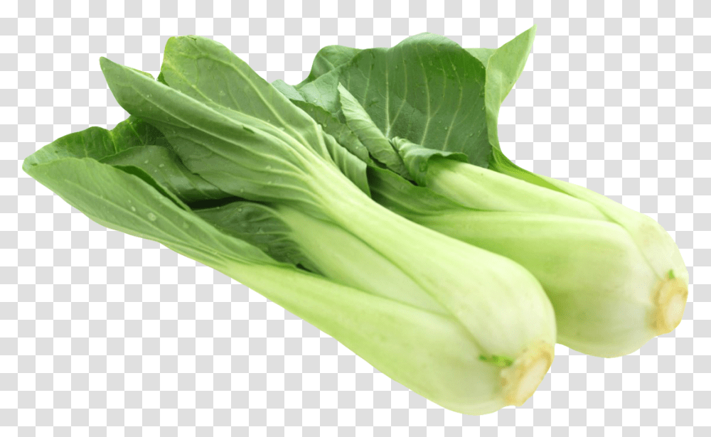 Bok Choy Clipart Yellow Vegetable Bok Choy, Plant, Food, Produce, Leek Transparent Png