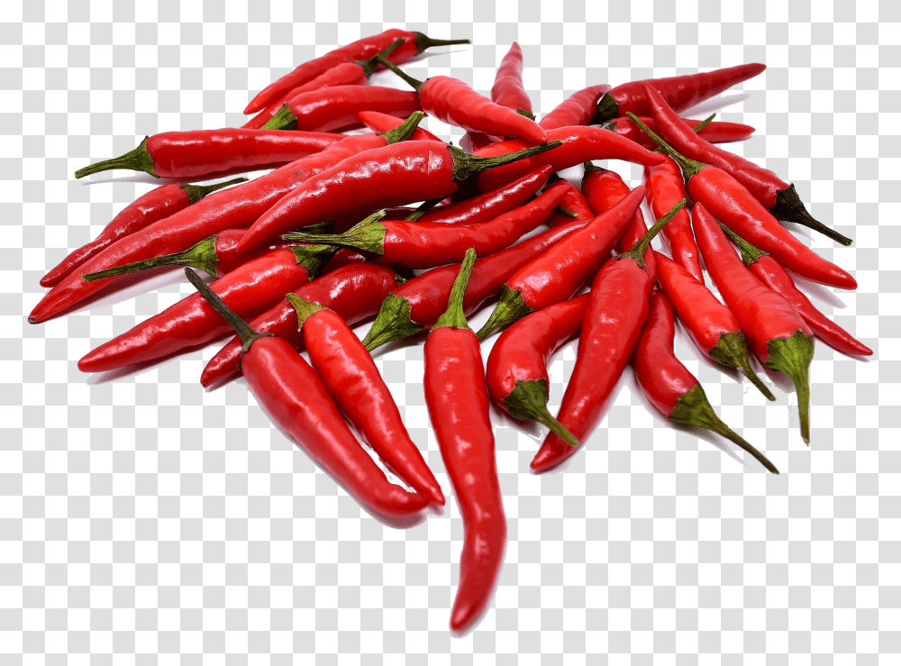 Bok Choy Food Have Spicy Taste, Plant, Vegetable, Pepper, Bell Pepper Transparent Png