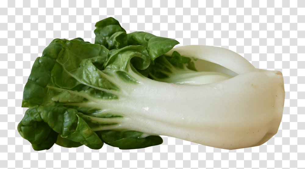 Bok Choy Image1, Vegetable, Plant, Food, Lettuce Transparent Png