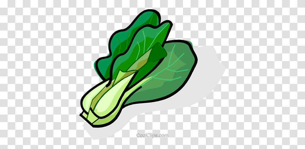 Bok Choy Royalty Free Vector Clip Art Illustration, Plant, Vegetable, Food, Produce Transparent Png