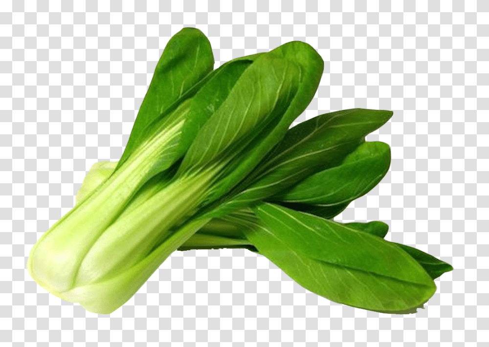 Bok Choy, Vegetable, Plant, Leaf, Food Transparent Png