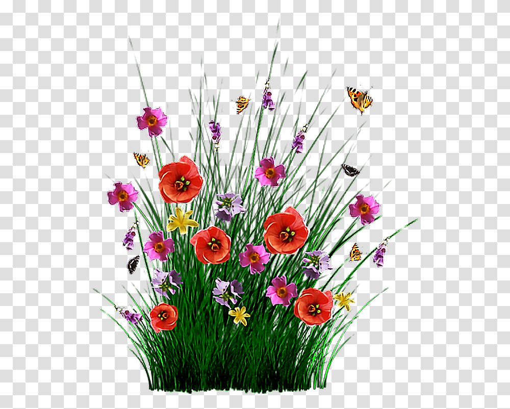 Bokeh Romans 8, Floral Design, Pattern Transparent Png