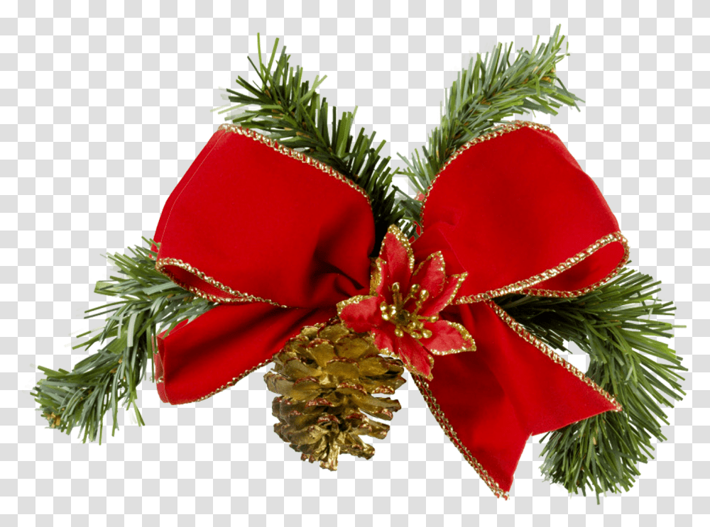 Bolas De Navidad Motivos De Navidad, Plant, Flower, Blossom, Tree Transparent Png