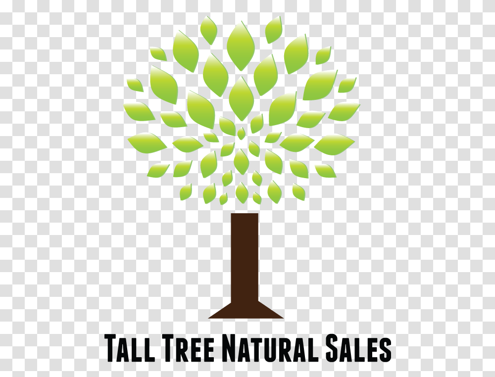Bold Playful Marketing Logo Design For Tall Tree Natural Graphic Design, Cross, Symbol, Graphics, Art Transparent Png