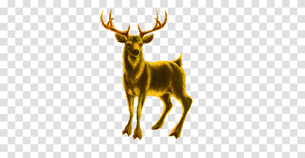 Boldog Karcsonyt Deer Sticker Animal Figure, Elk, Wildlife, Mammal, Antelope Transparent Png