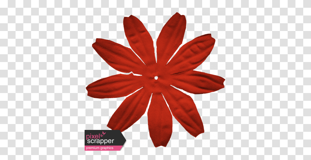 Bolivia Mini Kit, Leaf, Plant, Tree, Petal Transparent Png