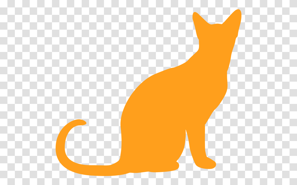 Bolsa De Genero De Gato, Cat, Pet, Mammal, Animal Transparent Png