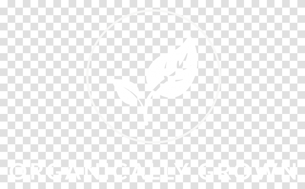 Bolsas, Stencil, Plant, Logo Transparent Png