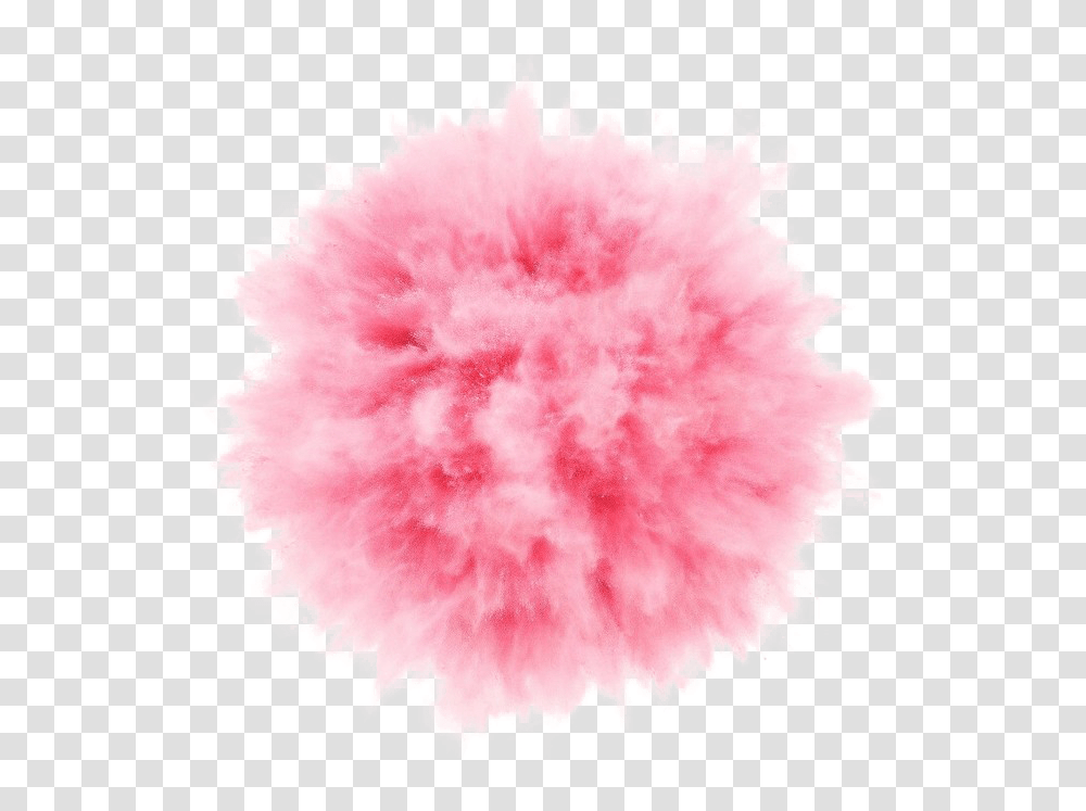 Bomb Explosion Smoke Pink Ftestickers Pink Powder Explosion, Apparel, Feather Boa, Scarf Transparent Png