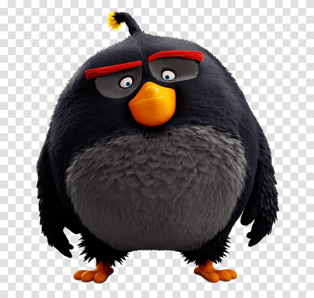 Bomb Movie Angry Birds Characters, Animal, Puffin, Beak, Penguin Transparent Png