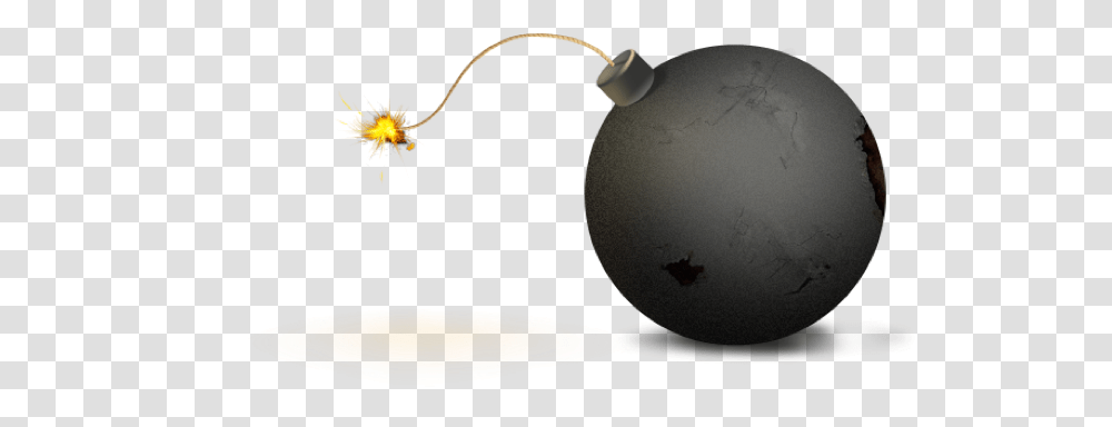 Bomb, Weapon, Weaponry, Plant, Grenade Transparent Png