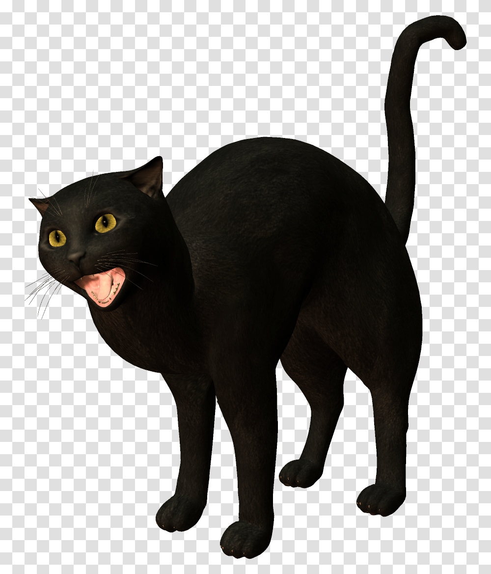 Bombay Cat Burmese Korat Black Black Cat, Pet, Mammal, Animal, Elephant Transparent Png