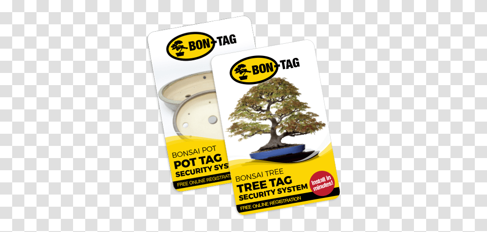 Bon Tag Tree, Plant, Poster, Advertisement, Potted Plant Transparent Png