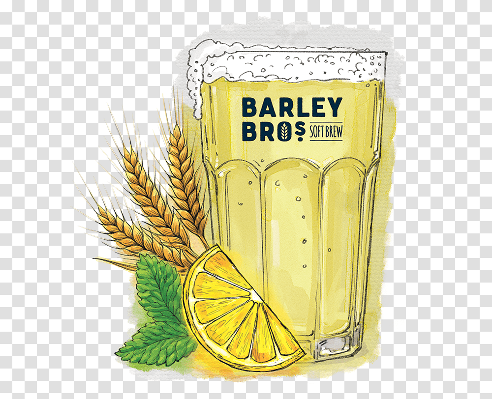 Bonded By Brewing Barley, Plant, Beverage, Glass, Food Transparent Png