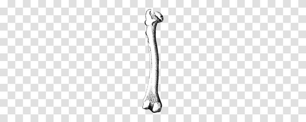 Bone Tool, Axe, Sword, Blade Transparent Png