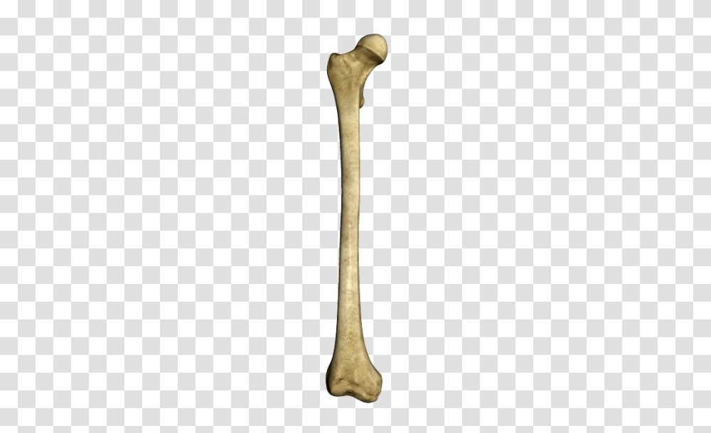 Bone, Axe, Tool, Cutlery, People Transparent Png