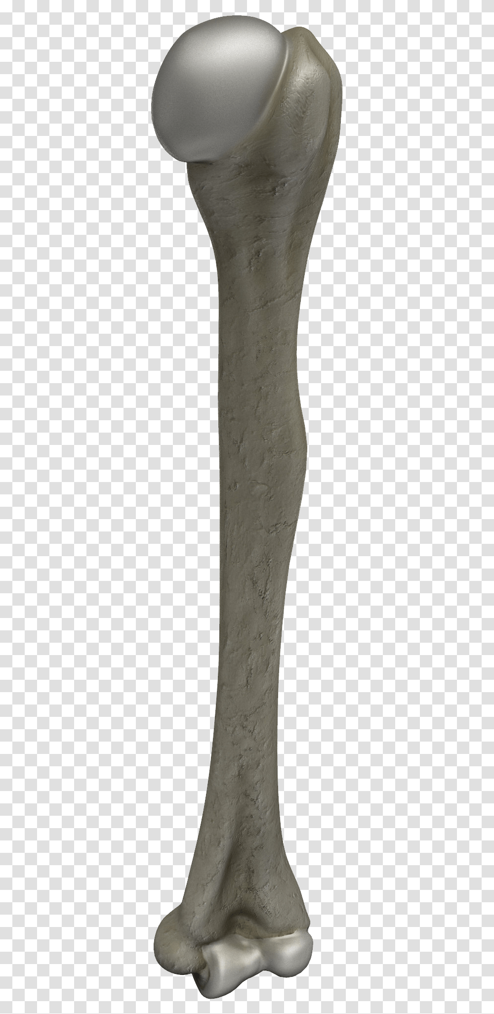 Bone, Axe, Tool, Weapon, Arrow Transparent Png