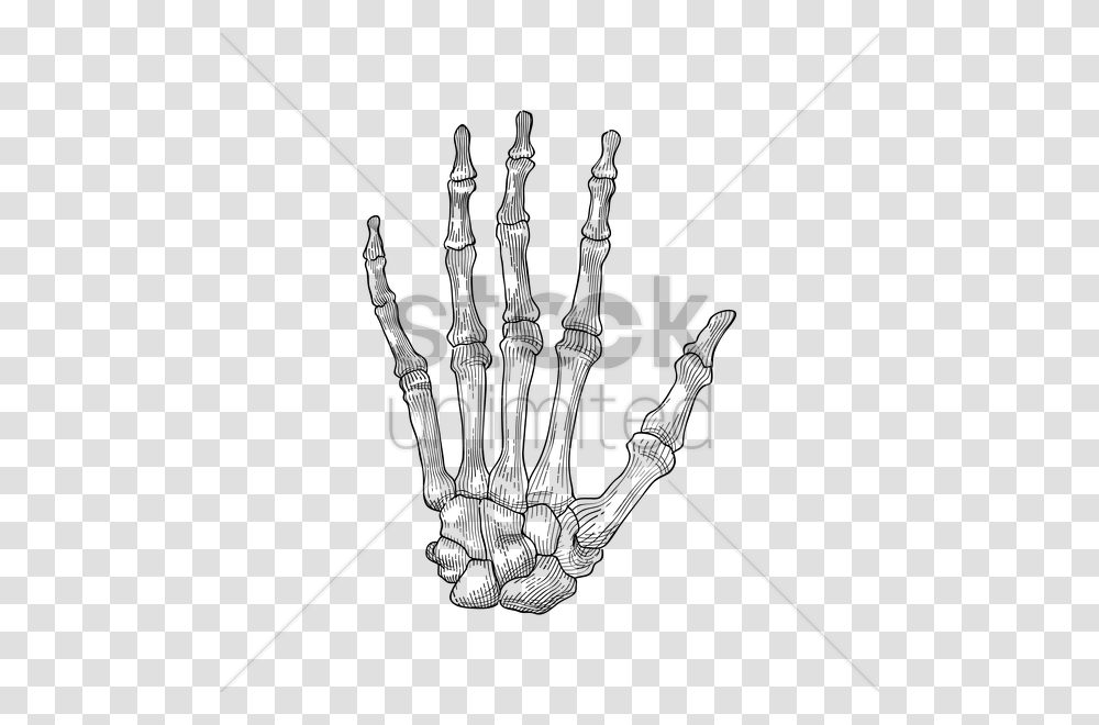Bone Clipart Hand Bone Hand Holding Hand Skeleton, Outdoors, Face, Triangle Transparent Png