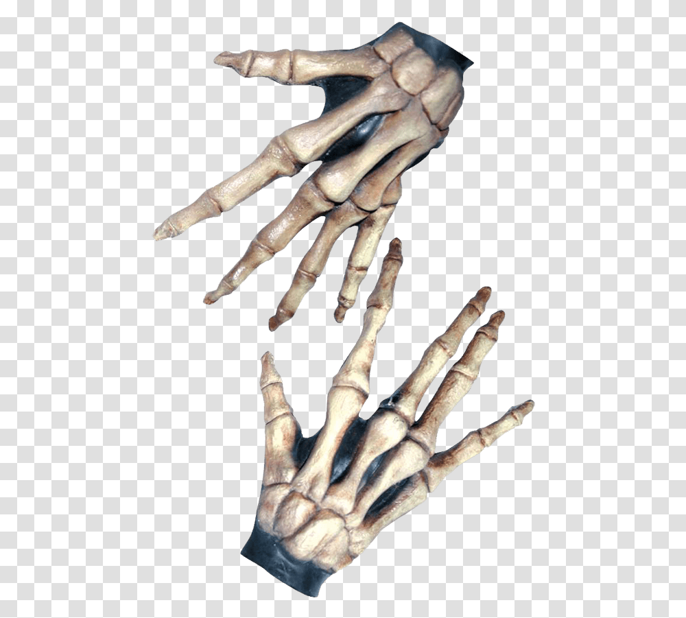 Bone Colored Large Skeleton Costume Hands Skelet Handsker, Hook, Claw, Person, Human Transparent Png