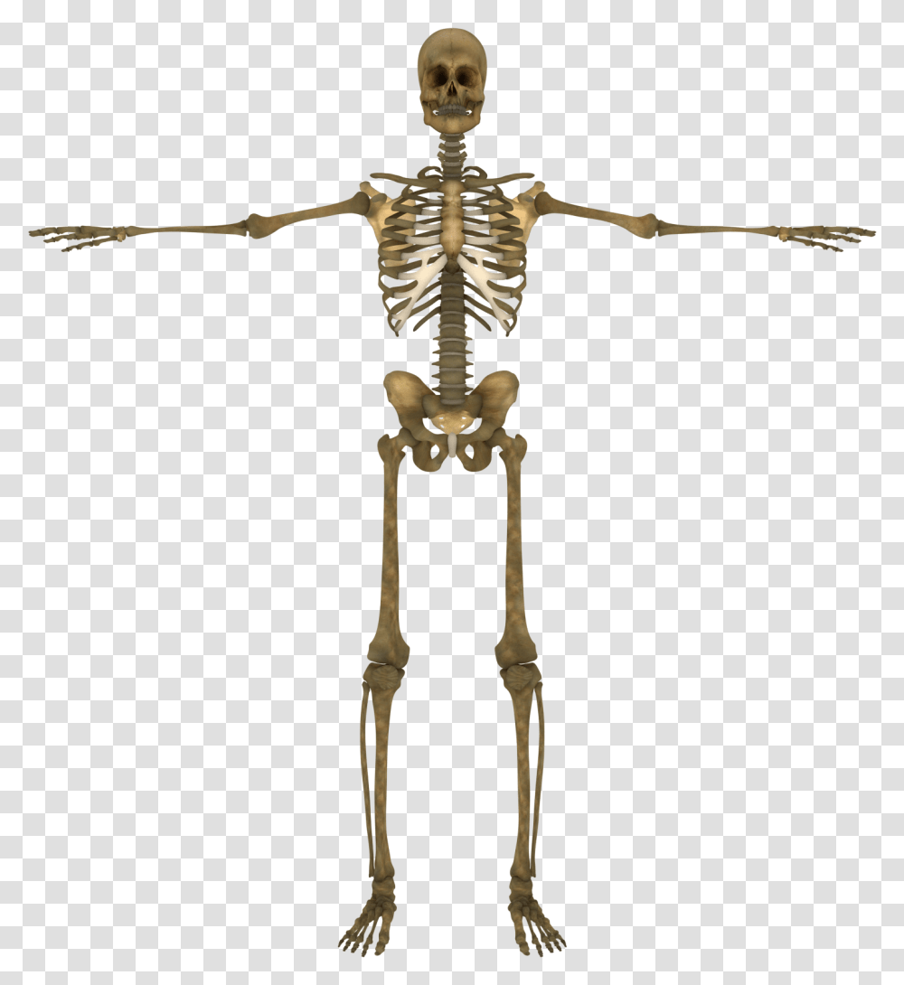 Bone, Cross, Skeleton Transparent Png