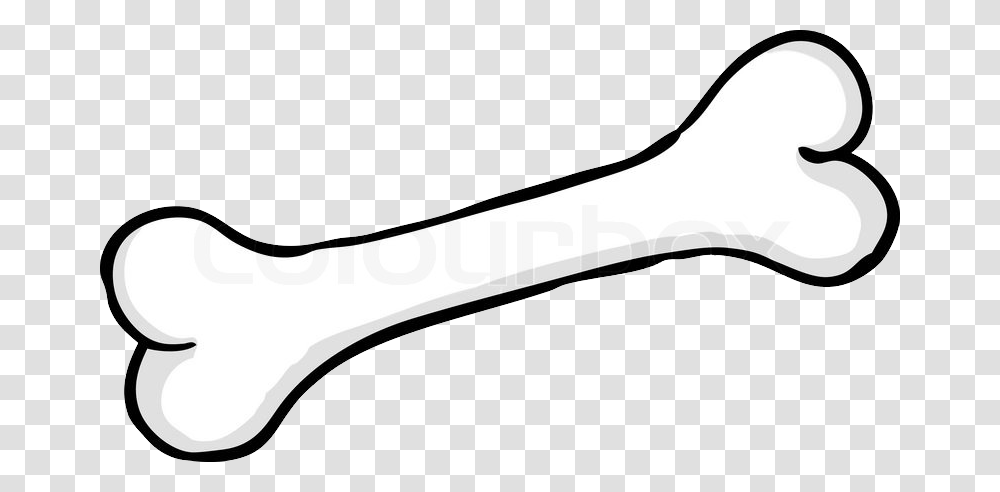 Bone, Cutlery, Axe, Tool, Spoon Transparent Png