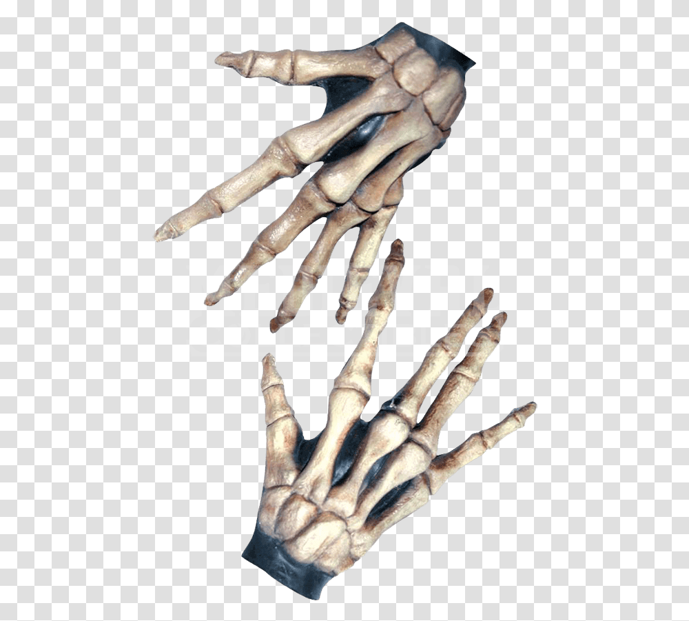 Bone Hands Bony Hands, Person, Human, Hook, Dinosaur Transparent Png