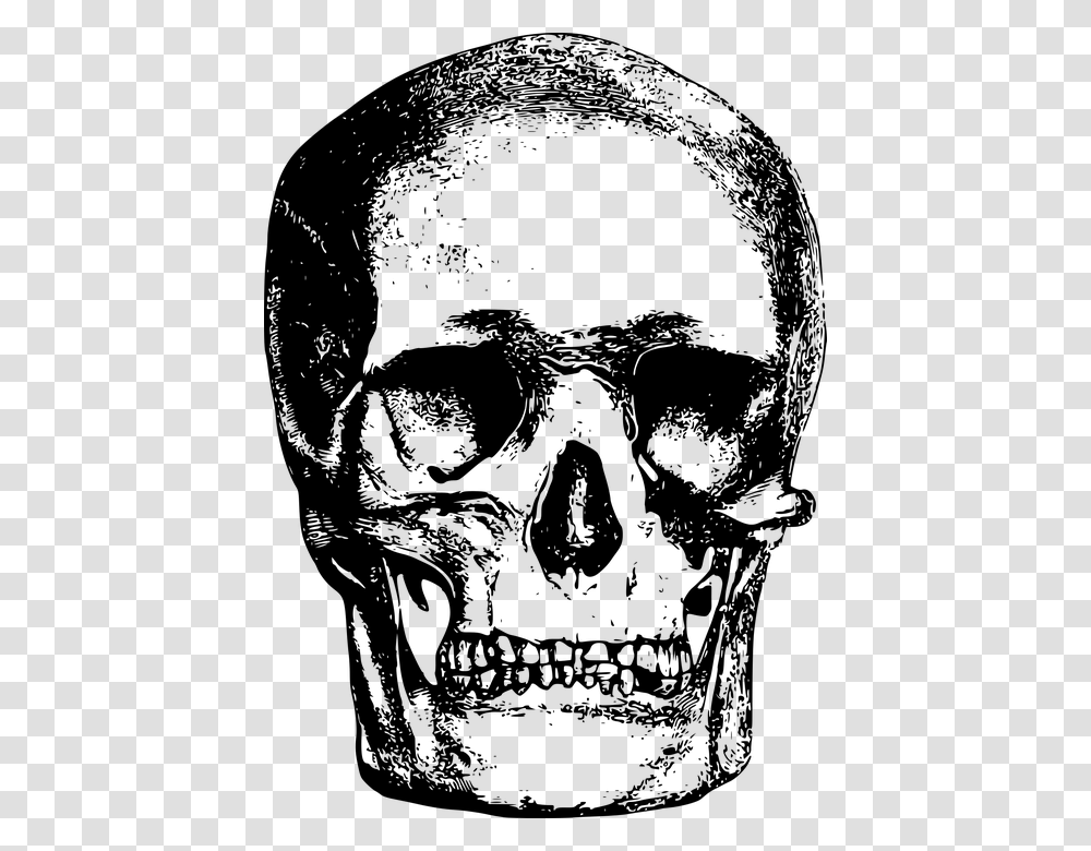 Bone Head Skeleton Skull Vintage Skull Illustration, Gray, World Of Warcraft Transparent Png
