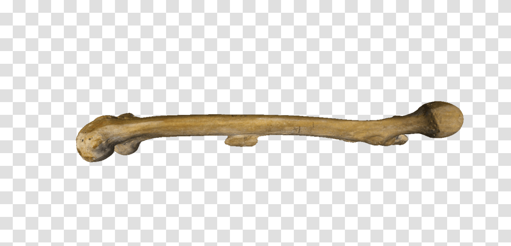 Bone, Ivory, Handle, Smoke Pipe, Axe Transparent Png