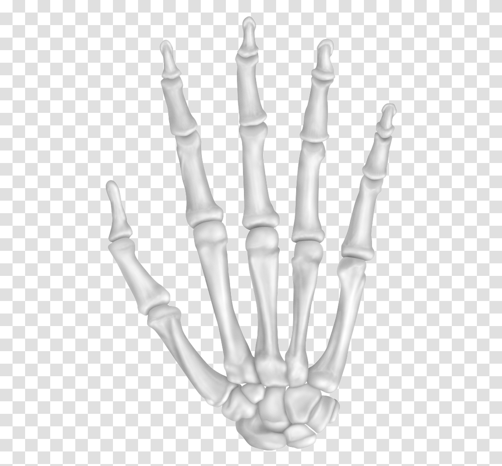Bone Pic Hand Bones, Chess, Game, Person, Human Transparent Png