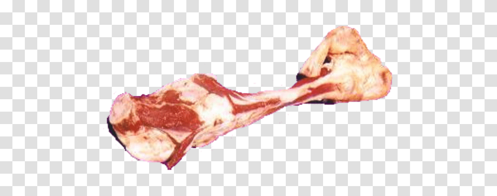 Bone, Pork, Food, Bacon, Hand Transparent Png