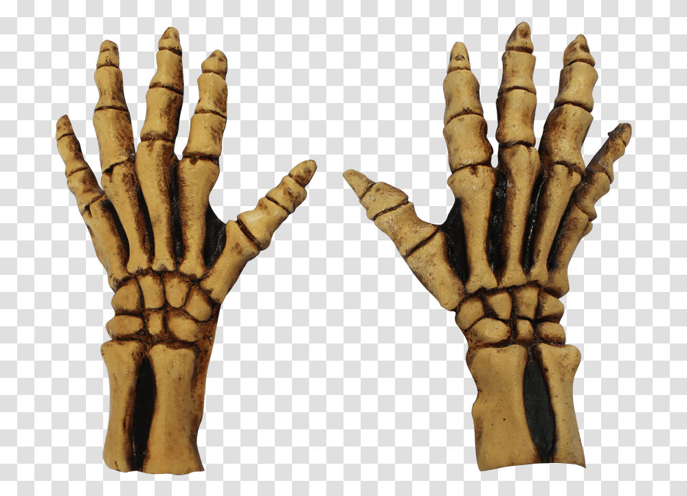 Bone Skeleton Gloves Full Skeleton Gloves, Hand, Hook, Finger, Claw Transparent Png