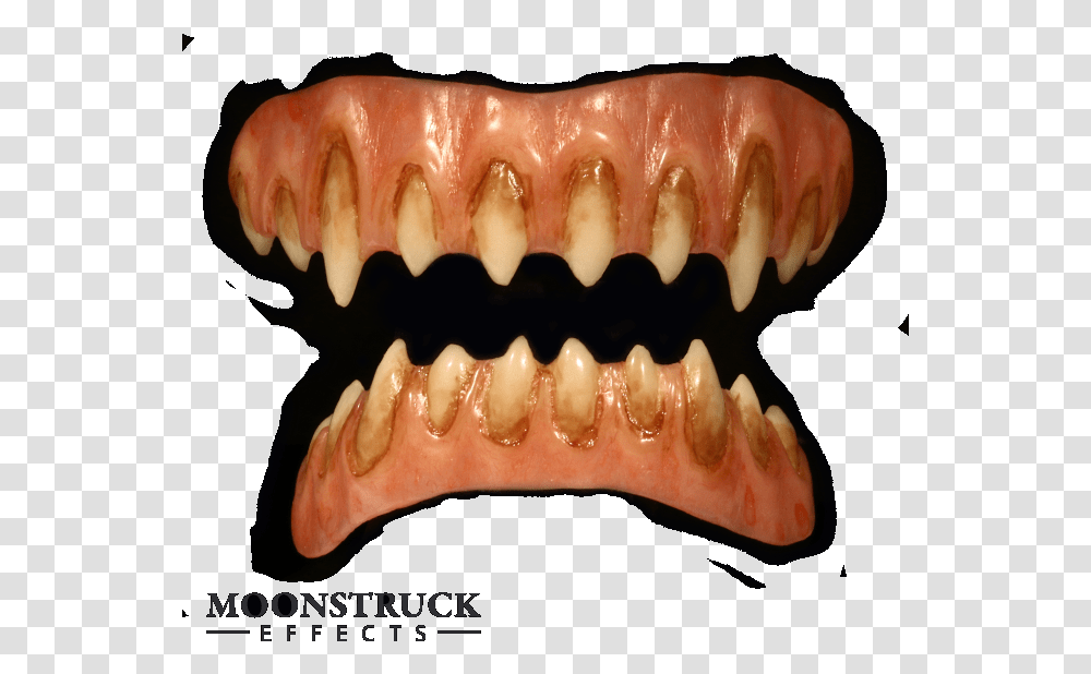 Bone, Teeth, Mouth, Lip, Person Transparent Png