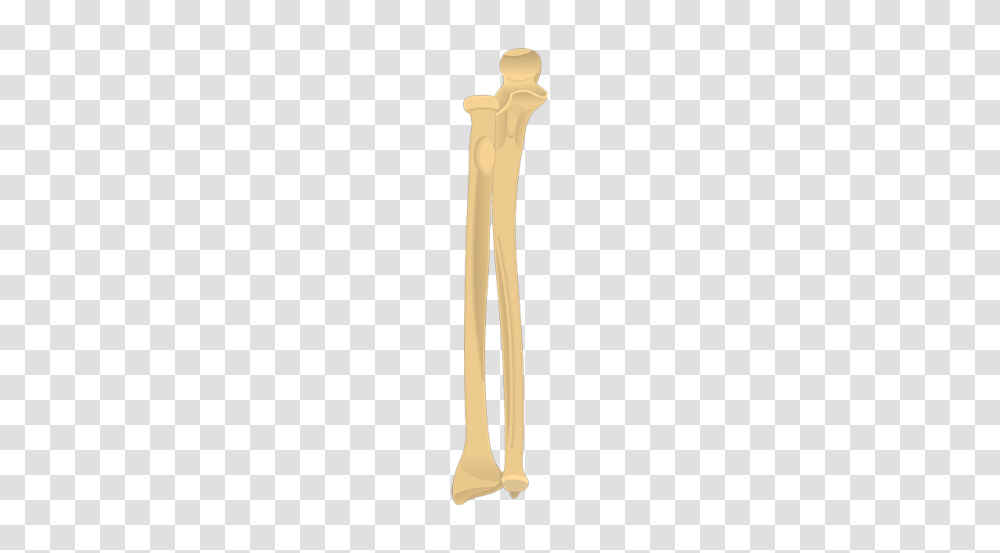 Bone, Tool, Sword, Weapon, Weaponry Transparent Png