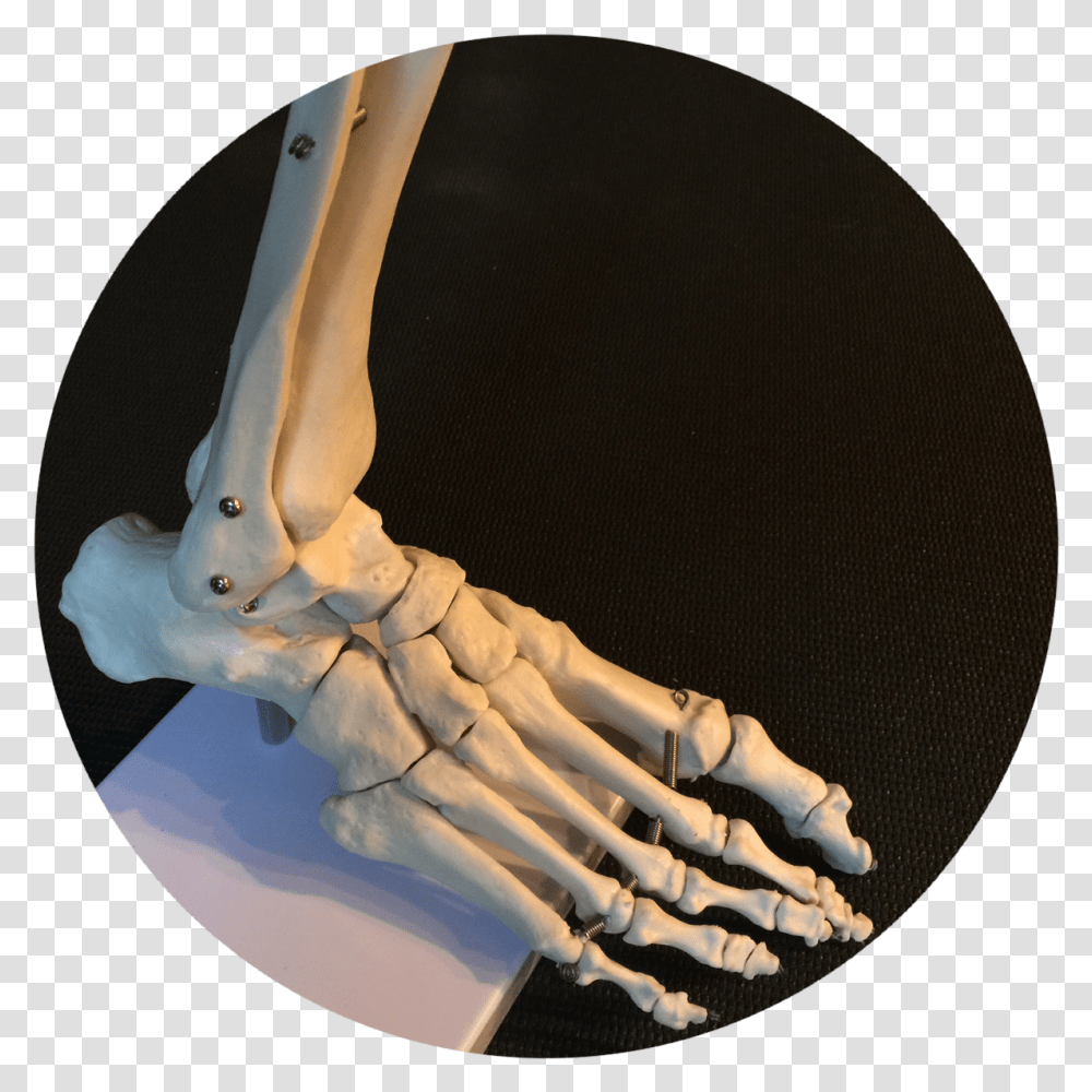 Bone, X-Ray, Ct Scan, Medical Imaging X-Ray Film, Soil Transparent Png