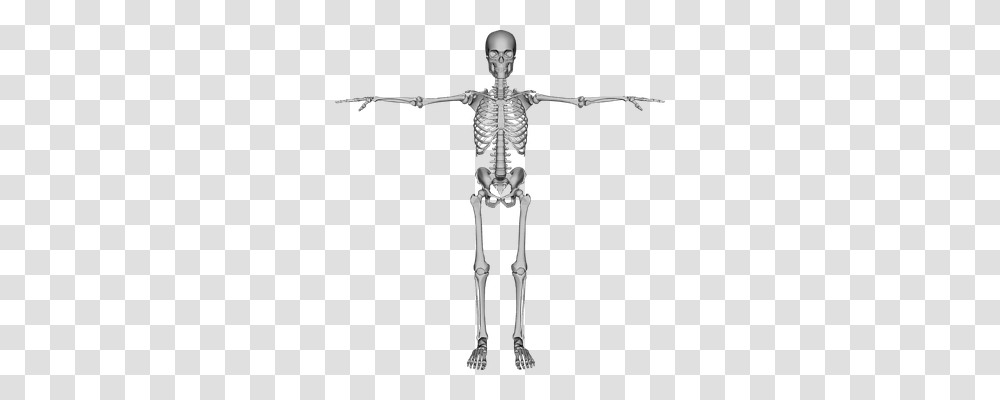 Bones Person, Skeleton, Cross Transparent Png