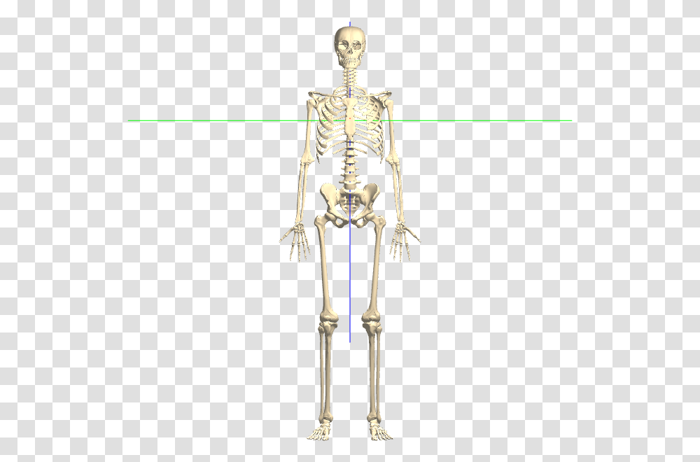 Bones Clear Background, Skeleton, Cross Transparent Png