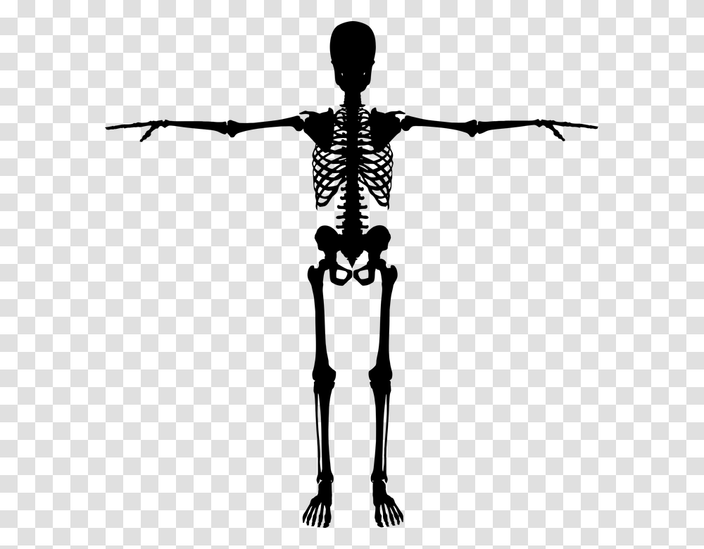 Bones Dead Figure Halloween Human People Person Silhouette Skeleton, Gray, World Of Warcraft Transparent Png