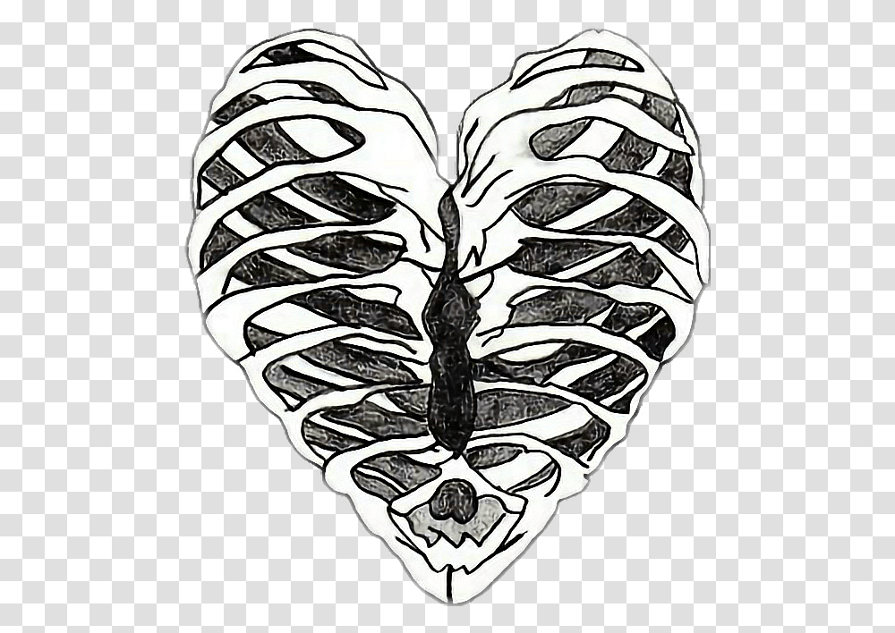 Bones Drawing Heart Skeleton Heart Drawing, Plant, Flower, Petal, Steamer Transparent Png