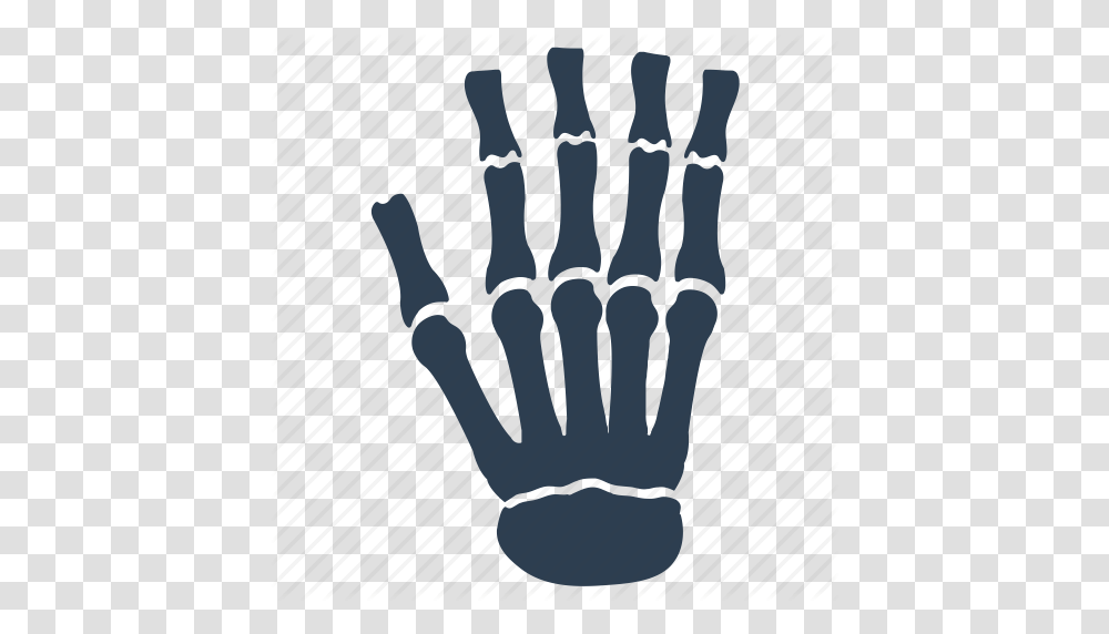 Bones Hand Osteology Skeleton Icon, Light, Hook Transparent Png