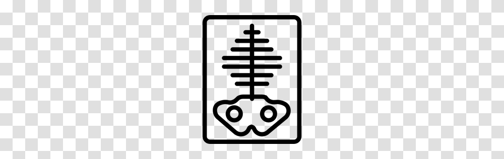 Bones Medical Skeleton X Rays X Ray Icon, Gray, World Of Warcraft Transparent Png