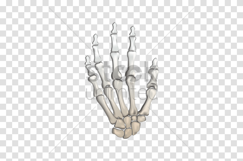 Bones Of Human Hand Vector Image, Chess, Game, X-Ray, Medical Imaging X-Ray Film Transparent Png