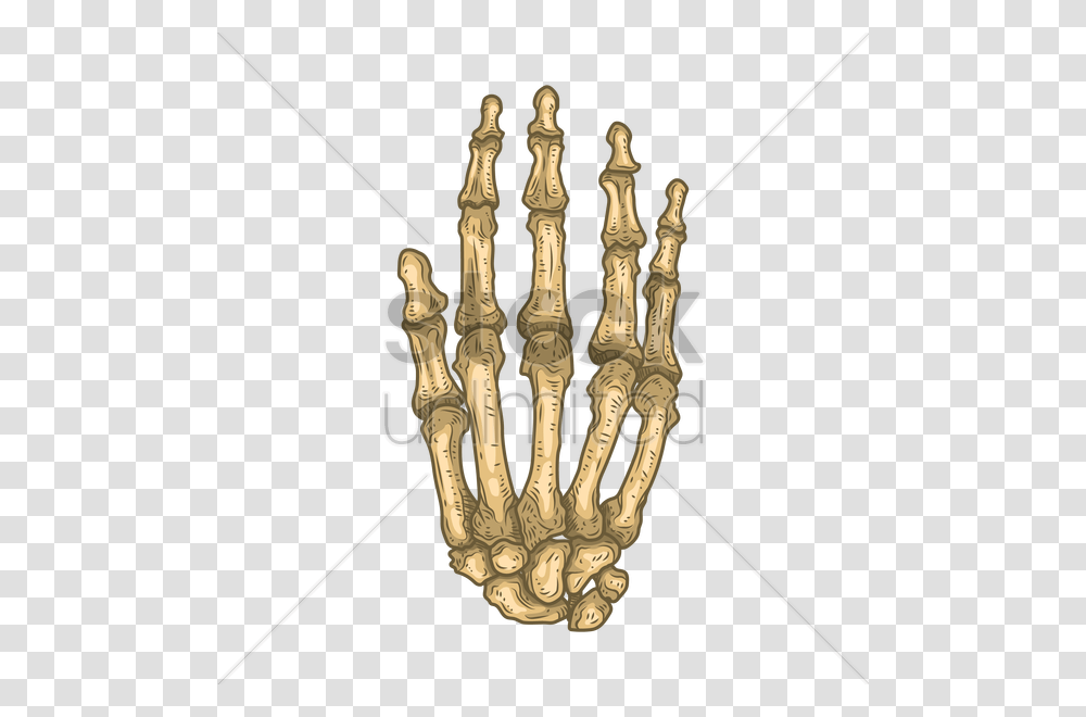 Bones Of Human Hand Vector Image, Hook, Claw Transparent Png