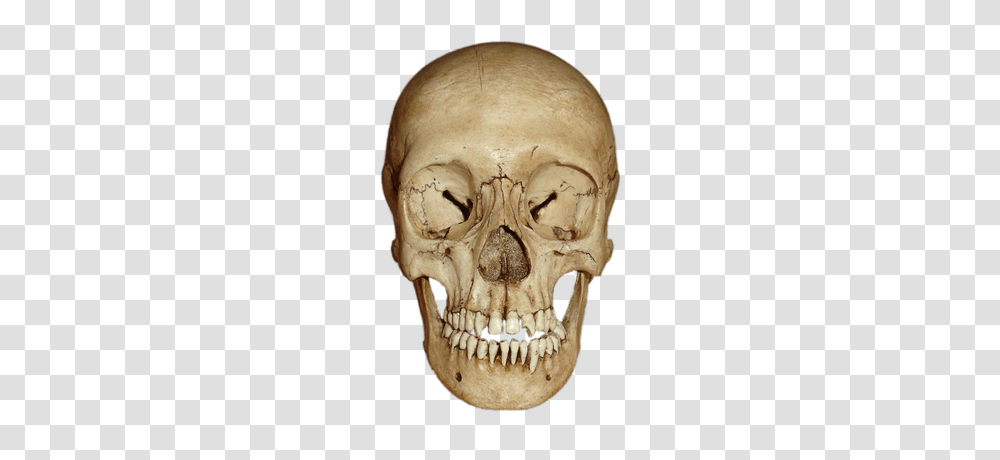 Bones Of The Body Images, Tattoo, Skin, Jaw, Teeth Transparent Png