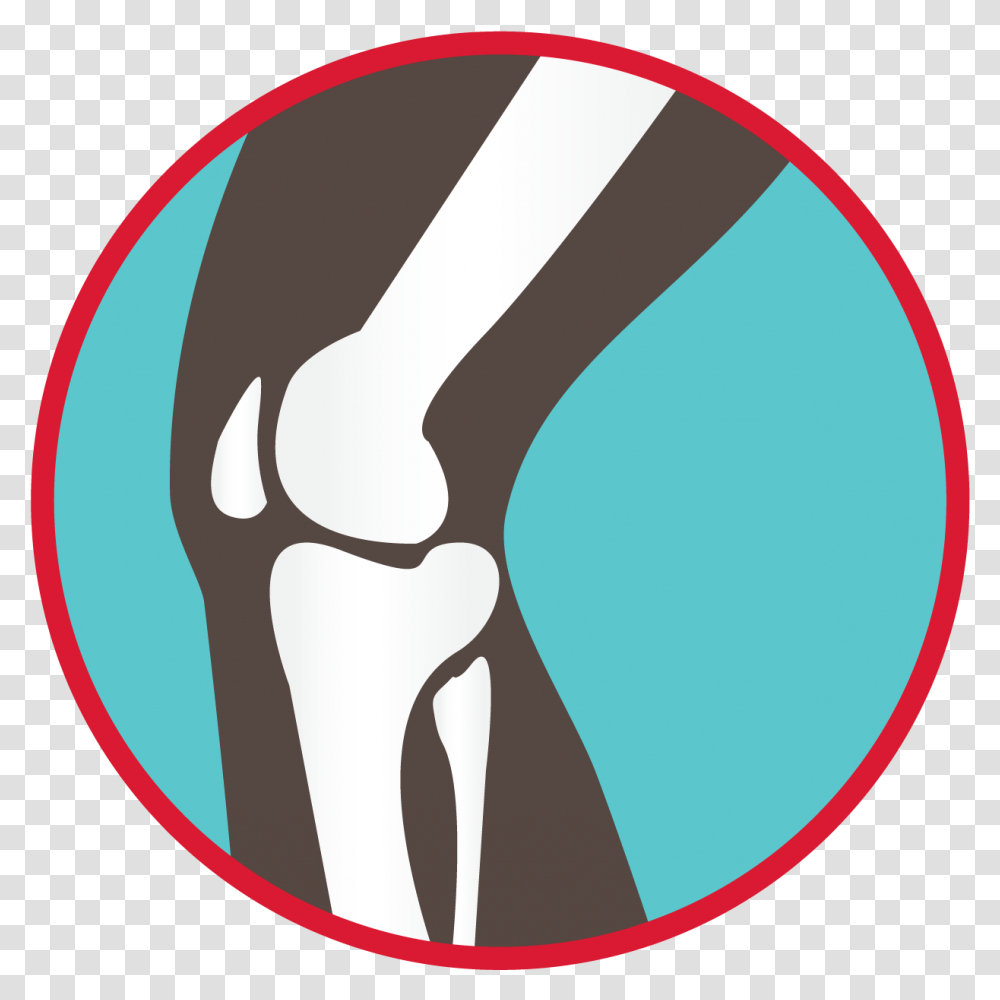 Bones Of The Knee Joint Graphic Howth, Label, Hip, Face Transparent Png